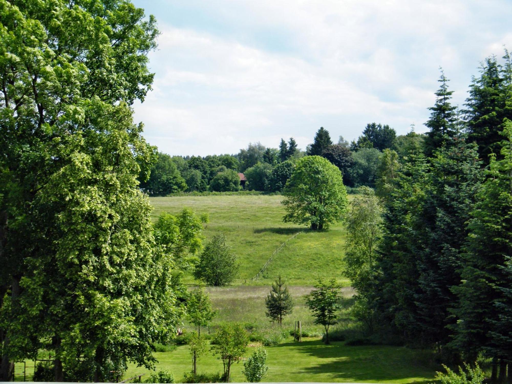 Apartments Carmen-Braunlage Esterno foto